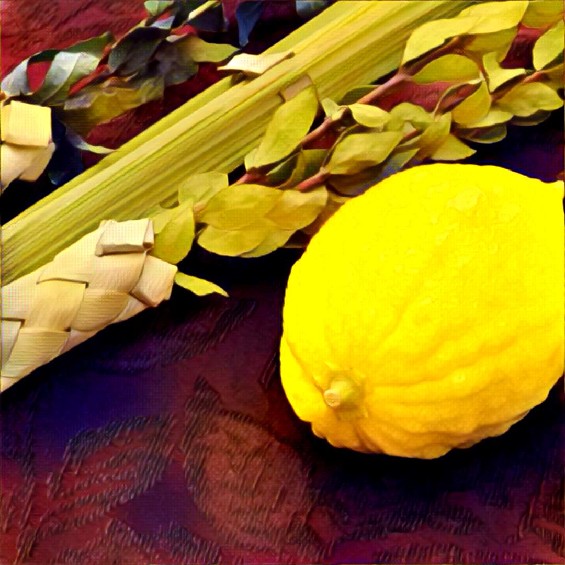 Jeschua Jesus messianische Juden Sukkot 2016 5776