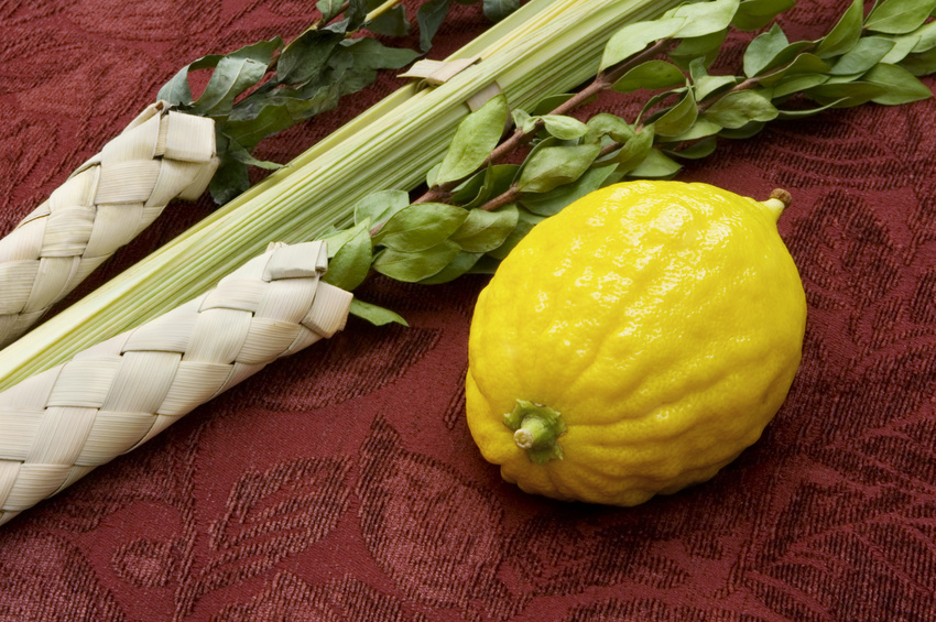 Sukkot Zusammen Leben der Voelker