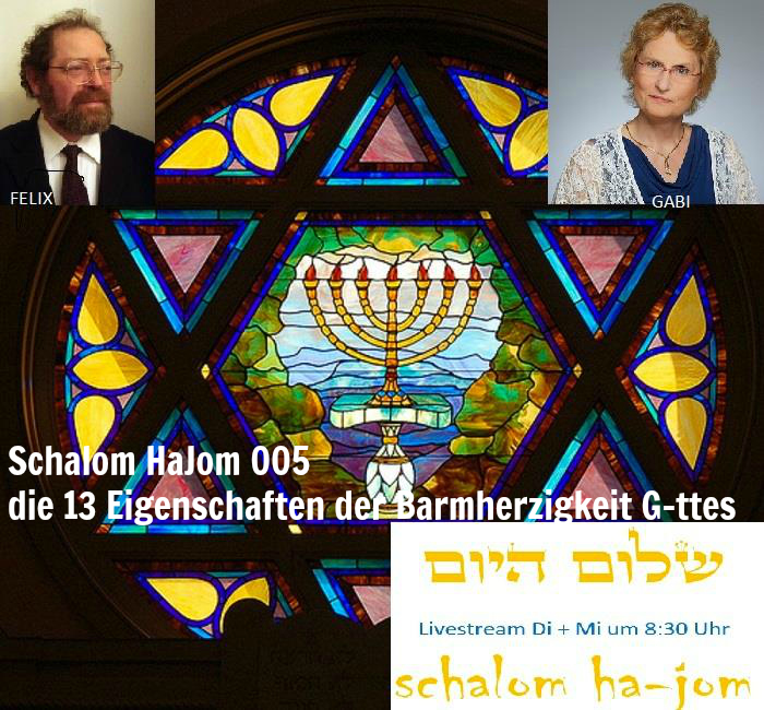die 13 Eigenschaften der Barmherzigkeit G-ttes - Episode 05 von Schalom HaJom 2016 episode artwork