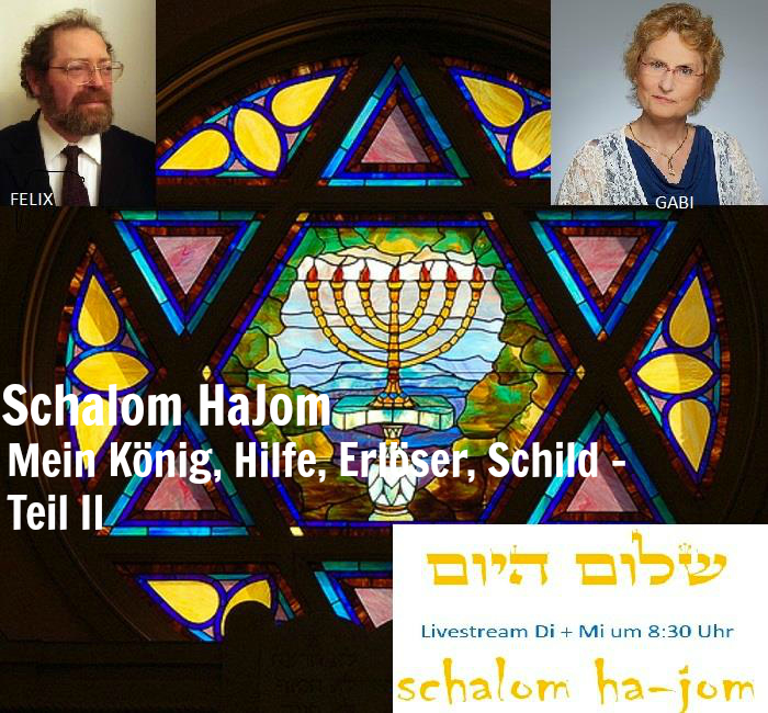 Der Ewige ist mein König, Hilfe, Erlöser und Schild - Episode 36 von Schalom HaJom 2016 episode artwork