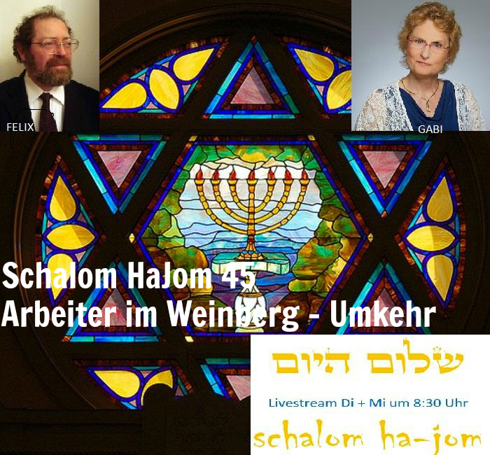 Arbeiten im Weinberg - Episode 45 von Schalom HaJom 2017 episode artwork